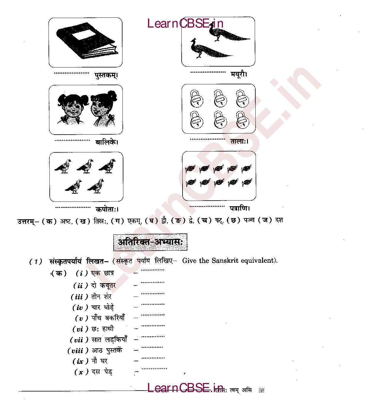 NCERT Solutions for Class 6th Sanskrit Chapter 12 दशमः त्वम् असि 6