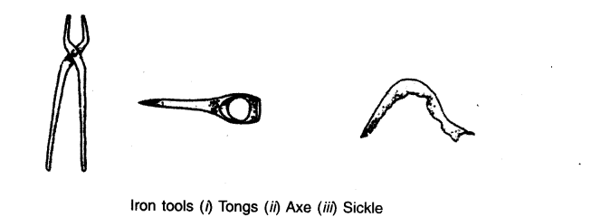 NCERT-Solutions-for-Class-6th-Social-Science-History-Chapter-9-Vital-Villages-Thriving-Towns-Q5