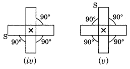 NCERT Solutions for Class 7 Maths Chapter 14 Symmetry Ex 14.2 8