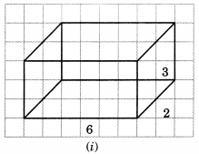 NCERT-Solutions-for-Class-7-Maths-Chapter-15-Visualising-Solid-Shapes-Ex-15