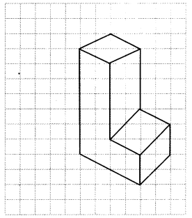 NCERT Solutions for Class 7 Maths Chapter 15 Visualising Solid Shapes Ex 15.2 11