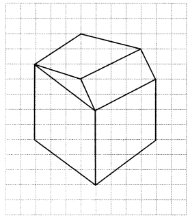NCERT Solutions for Class 7 Maths Chapter 15 Visualising Solid Shapes Ex 15.2 12
