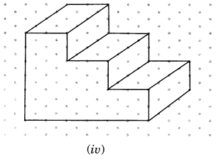 NCERT Solutions for Class 7 Maths Chapter 15 Visualising Solid Shapes Ex 15.2 6
