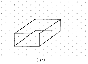 NCERT Solutions for Class 7 Maths Chapter 15 Visualising Solid Shapes Ex 15.2 8