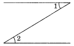 NCERT Solutions for Class 7 Maths Chapter 5 Lines and Angles 6