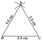 NCERT Solutions for Class 7 Maths Practical Geometry Ex 10.2 2