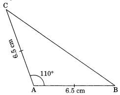 NCERT Solutions for Class 7 Maths Practical Geometry Ex 10.3 2