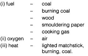 NCERT Solutions for Class 7th English Chapter 8 Fire Friend and Foe Working with Text Q3.1
