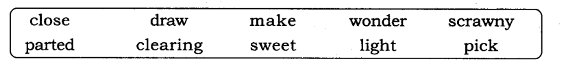 NCERT Solutions for Class 8 English Honeydew Chapter 6 This is Jody’s Fawn Page 94 Q3