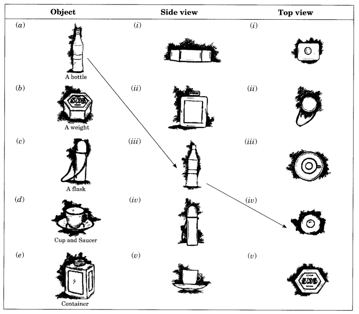 NCERT-Solutions-for-Class-8-Maths-Chapter-10-Visualising-Solid-Shapes-Ex-10