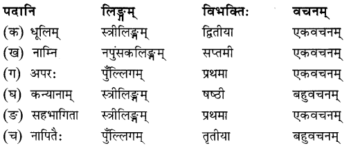 NCERT Solutions for Class 8 Sanskrit Chapter 11 सावित्री बाई फुले Q7.1