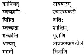 NCERT-Solutions-for-Class-8-Sanskrit-Chapter-12-कः-रक्षति-कः-रक्षितः-Q5