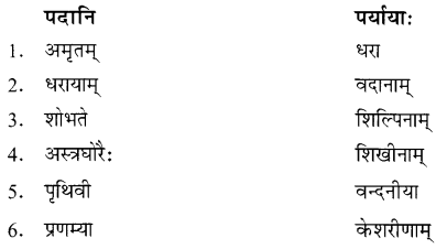 NCERT Solutions for Class 8 Sanskrit Chapter 13 क्षितौ राजते भारतस्वर्णभूमिः Q6.2
