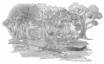 NCERT Solutions for Class 8 Sanskrit Chapter 13 क्षितौ राजते भारतस्वर्णभूमिः Q7