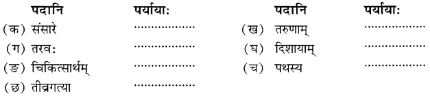 NCERT Solutions for Class 8 Sanskrit Chapter 3 डिजीभारतम् Q3