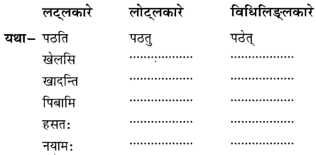 NCERT Solutions for Class 8 Sanskrit Chapter 4 सदैव पुरतो निधेहि चरणम् Q8
