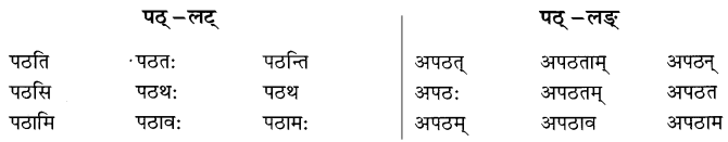 NCERT-Solutions-for-Class-8-Sanskrit-Chapter-6-क्रियापदानि-तथा-धातुरुपाणि-1