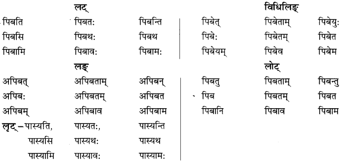 NCERT Solutions for Class 8 Sanskrit Chapter 6 क्रियापदानि तथा धातुरुपाणि 11