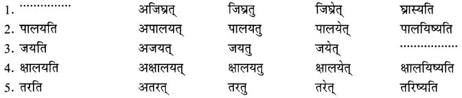 NCERT Solutions for Class 8 Sanskrit Chapter 6 क्रियापदानि तथा धातुरुपाणि 19