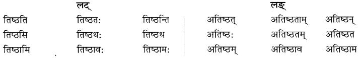 NCERT Solutions for Class 8 Sanskrit Chapter 6 क्रियापदानि तथा धातुरुपाणि 6