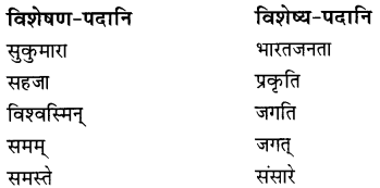 NCERT Solutions for Class 8 Sanskrit Chapter 7 भारतजनताऽहम् Q5.1