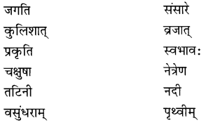 NCERT Solutions for Class 8 Sanskrit Chapter 7 भारतजनताऽहम् Q6.1