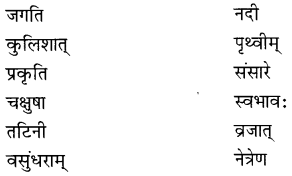 NCERT Solutions for Class 8 Sanskrit Chapter 7 भारतजनताऽहम् Q6
