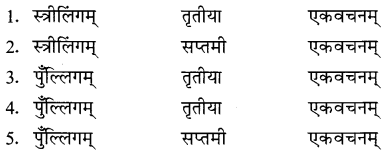 NCERT Solutions for Class 8 Sanskrit Chapter 8 संसारसागरस्य नायकाः Q3.1