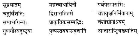 NCERT-Solutions-for-Class-8-Sanskrit-Chapter-9-सप्तभगिन्यः-Q1
