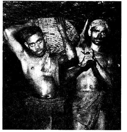 NCERT Solutions for Class 8 Social Science History Chapter 4 Tribals, Dikus and the Vision of a Golden Age Picture Based Questions Q1