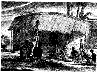 NCERT Solutions for Class 8 Social Science History Chapter 8 Civilising the Native Educating the Nation Picture Based Questions Q2