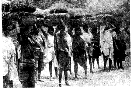 NCERT Solutions for Class 8 Social Science History Chapter 9 Women, Caste and Reform Picture Based Questions Q2