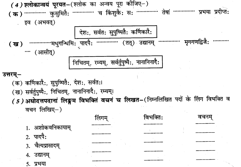 NCERT Solutions for Class 8th Sanskrit Chapter 10 अशोकवनिका 9