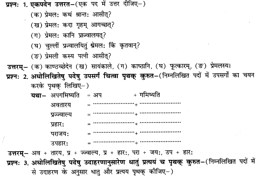 NCERT-Solutions-for-Class-8th-Sanskrit-Chapter-6-प्रेमलस्य-प्रेमल्याश्च-कथा-1