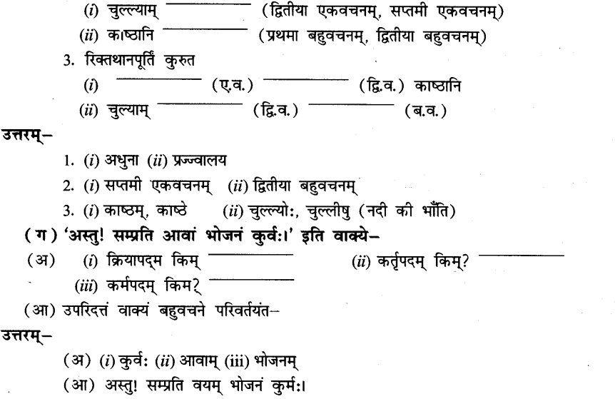 NCERT Solutions for Class 8th Sanskrit Chapter 6 प्रेमलस्य प्रेमल्याश्च कथा 10