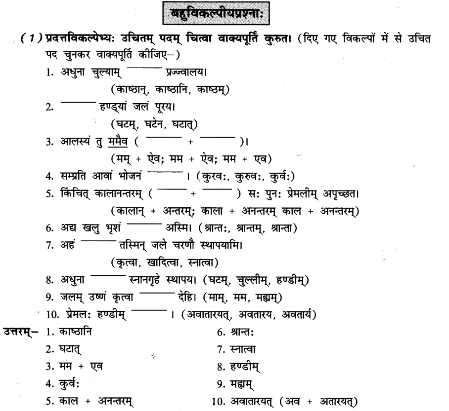 NCERT Solutions for Class 8th Sanskrit Chapter 6 प्रेमलस्य प्रेमल्याश्च कथा 12