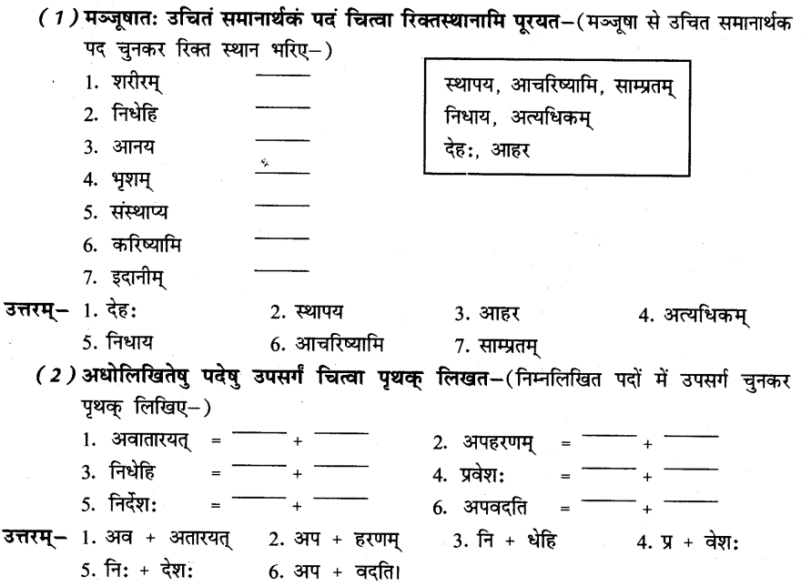 NCERT Solutions for Class 8th Sanskrit Chapter 6 प्रेमलस्य प्रेमल्याश्च कथा 7