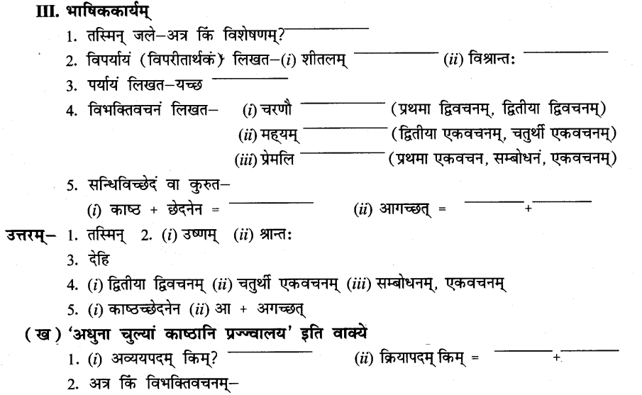 NCERT Solutions for Class 8th Sanskrit Chapter 6 प्रेमलस्य प्रेमल्याश्च कथा 9