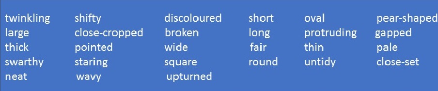 NCERT Solutions for Class 9 English Main Course Book Unit 1 People Chapter 2 A Burglary Attempt Q2