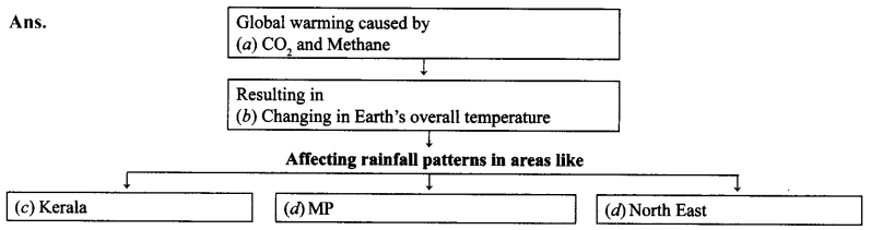NCERT Solutions for Class 9 English Main Course Book Unit 3 Environment Chapter 2 Save Mother Earth Q6.1