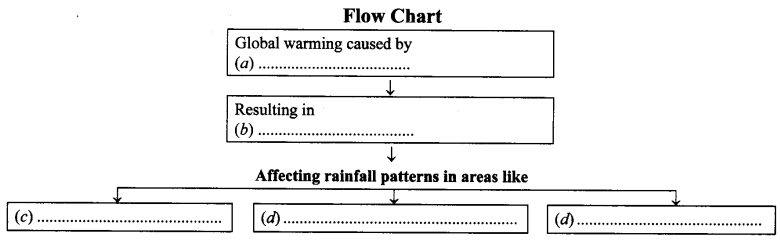 NCERT-Solutions-for-Class-9-English-Main-Course-Book-Unit-3-Environment-Chapter-2-Save-Mother-Earth-Q6
