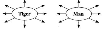 NCERT-Solutions-for-Class-9-English-Main-Course-Book-Unit-3-Environment-Chapter-3-Save-the-Tiger-Q4