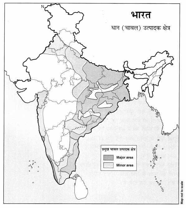 NCERT Solutions for Class 9 Hindi Sparsh Chapter 6 कीचड़ का काव्य Q3