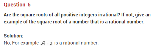 NCERT Solutions for Class 9 Maths Chapter 1 Number Systems Ex 1.2 q6