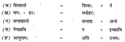 NCERT Solutions for Class 9 Sanskrit Shemushi Chapter 3 गोदोहनम् 2