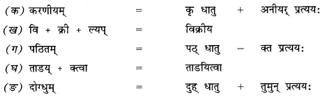 NCERT Solutions for Class 9 Sanskrit Shemushi Chapter 3 गोदोहनम् 3