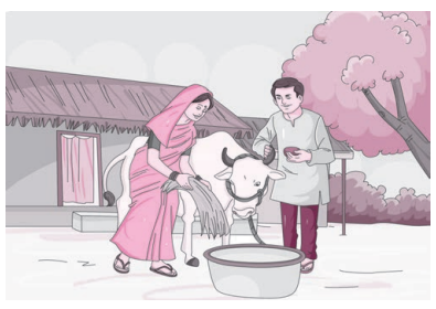 NCERT Solutions for Class 9 Sanskrit Shemushi Chapter 3 गोदोहनम् 4