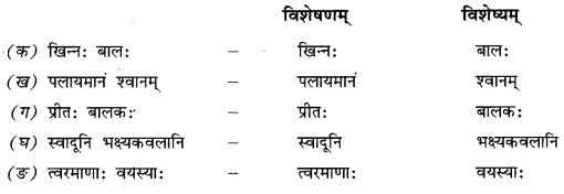 NCERT Solutions for Class 9 Sanskrit Shemushi Chapter 6 भ्रान्तो बालः 2