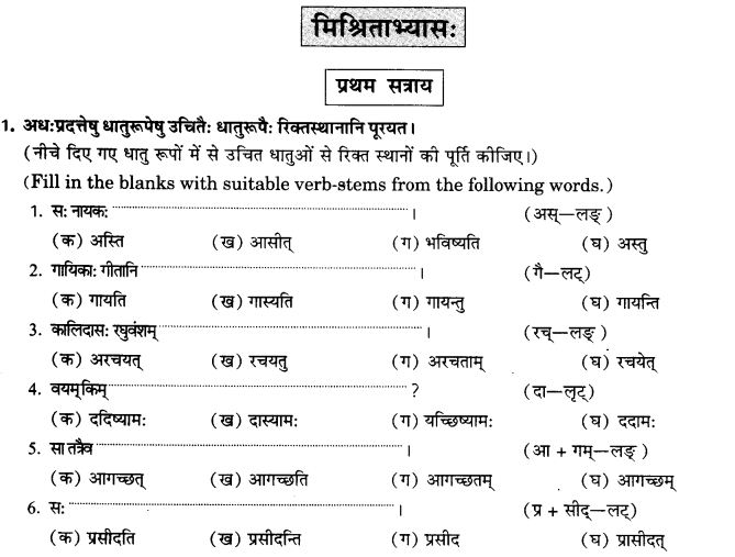 NCERT Solutions for Class 9th Sanskrit Chapter 10 Vidhiliga Lakarah 12