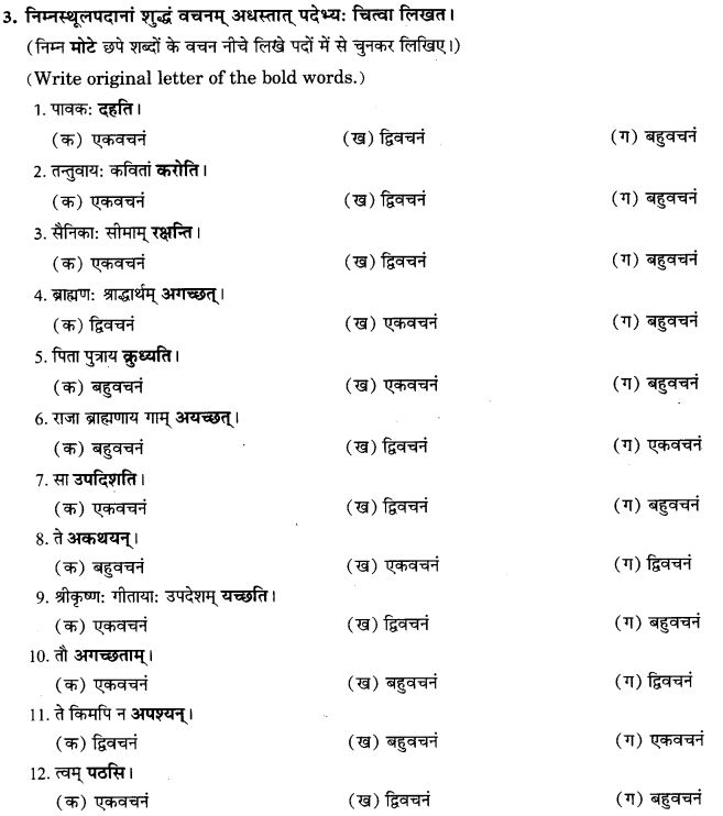 NCERT Solutions for Class 9th Sanskrit Chapter 10 Vidhiliga Lakarah 17